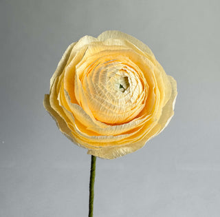 a handcrafted paper ranunculus with dozens of tightly layered, ruffled petals in shades of buttercream, gradually opening from a dense center to a full bloom. The flower is attached to a slender green stem, capturing the delicate and intricate structure of a real ranunculus