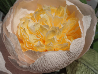 Tried & True | Assorted Peony Bouquet - unwilted