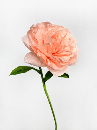 A handmade carnation with delicate layers of ruffled peach crepe paper for petals, gathered at the bottom to form the flower's head