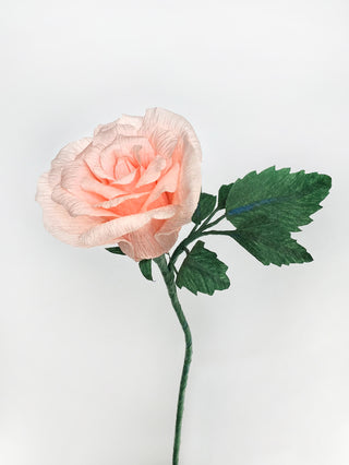 A handcrafted paper rose with delicately layered petals in soft shades of cantelope, curled and shaped to mimic the natural texture of a real rose. The flower is attached to a slender green stem with realistic-looking leaves made from emerald green crepe paper.