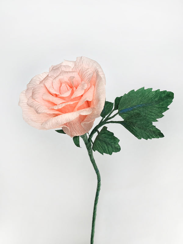 Classic Rose - unwilted