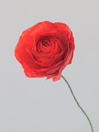a handcrafted paper ranunculus with dozens of tightly layered, ruffled petals in shades of orange-red, gradually opening from a dense center to a full bloom. The flower is attached to a slender green stem, capturing the delicate and intricate structure of a real ranunculus