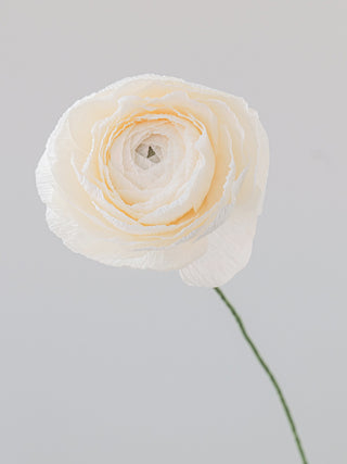 a handcrafted paper ranunculus with dozens of tightly layered, ruffled petals in shades of ivory, gradually opening from a dense center to a full bloom. The flower is attached to a slender green stem, capturing the delicate and intricate structure of a real ranunculus