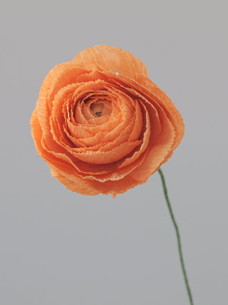 a handcrafted paper ranunculus with dozens of tightly layered, ruffled petals in shades of pumpkin orange, gradually opening from a dense center to a full bloom. The flower is attached to a slender green stem, capturing the delicate and intricate structure of a real ranunculus