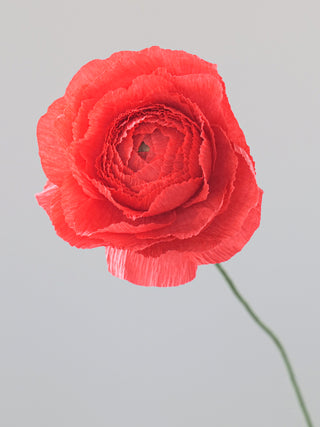 a handcrafted paper ranunculus with dozens of tightly layered, ruffled petals in shades of coral, gradually opening from a dense center to a full bloom. The flower is attached to a slender green stem, capturing the delicate and intricate structure of a real ranunculus
