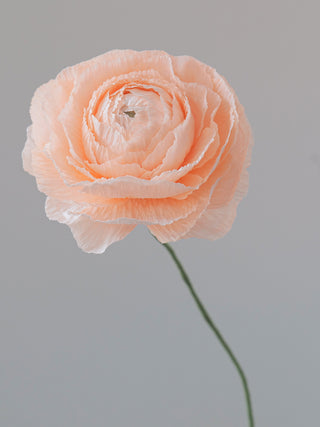 a handcrafted paper ranunculus with dozens of tightly layered, ruffled petals in shades of peach, gradually opening from a dense center to a full bloom. The flower is attached to a slender green stem, capturing the delicate and intricate structure of a real ranunculus