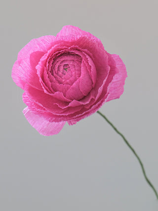 a handcrafted paper ranunculus with dozens of tightly layered, ruffled petals in shades of true pink, gradually opening from a dense center to a full bloom. The flower is attached to a slender green stem, capturing the delicate and intricate structure of a real ranunculus