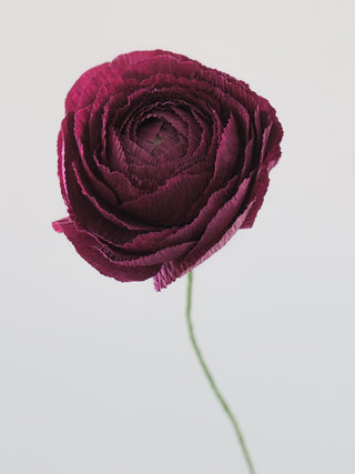 a handcrafted paper ranunculus with dozens of tightly layered, ruffled petals in shades of burgundy, gradually opening from a dense center to a full bloom. The flower is attached to a slender green stem, capturing the delicate and intricate structure of a real ranunculus