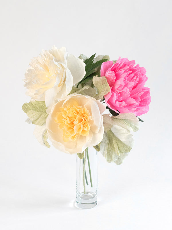 Peony for Your Thoughts - unwilted