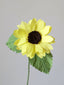 Bright Yellow with Dark Center