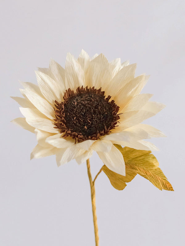 Sunflower Single Bloom - unwilted