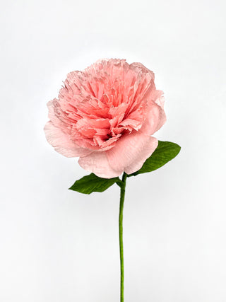 A handmade carnation with delicate layers of ruffled french pink crepe paper for petals, gathered at the bottom to form the flower's head
