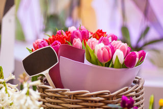 10 Unique Flower Gift Ideas for People Who Are Tired of Sending the Same Bouquet