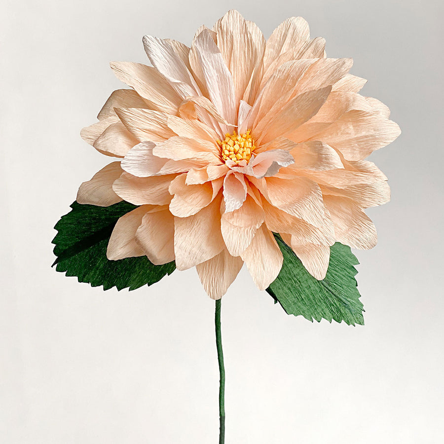 Dahlia Single Stem | Handcrafted Paper Flower – unwilted