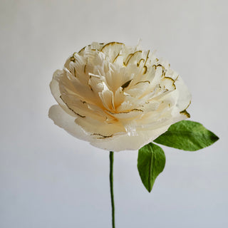 Hand Painted Garden Peony Single Bloom, Limited Edition - unwilted