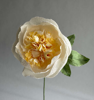 a row of ivory petals surrounds the fluffy ivory and buttercream interior of textured crepe paper to mimic the look and feel of this springtime gem