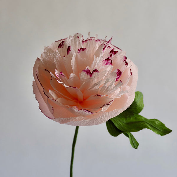 Hand Painted Garden Peony Single Bloom, Limited Edition - unwilted