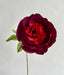 Burgundy & Magenta