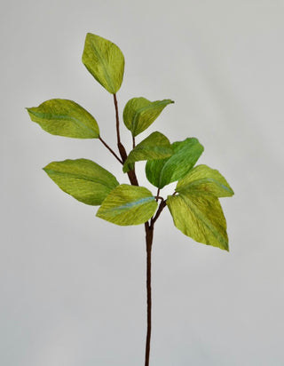 Greenery Single Stem | Realistic Paper Foliage - unwilted