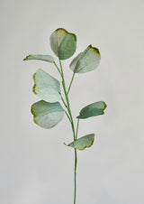 Greenery Single Stem | Realistic Paper Foliage - unwilted