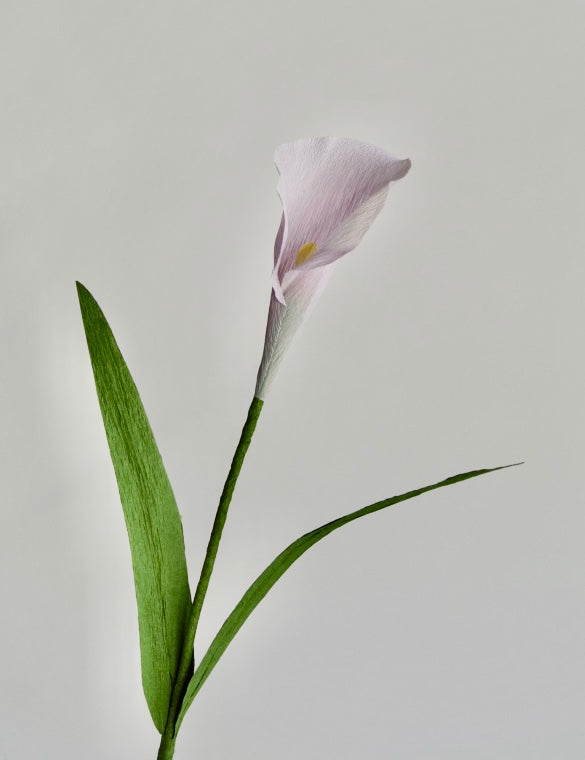 Calla Lily Single Stem | Handcrafted Paper Flower - unwilted