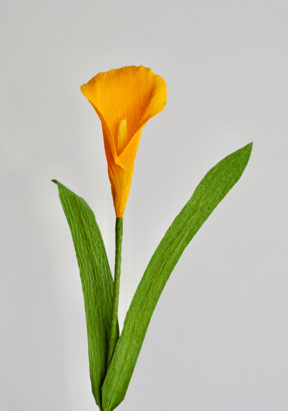 Calla Lily Single Stem | Handcrafted Paper Flower - unwilted