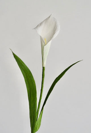 Calla Lily Single Stem | Handcrafted Paper Flower - unwilted