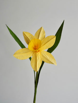 Daffodil Single Stem | Handcrafted Paper Flower - unwilted