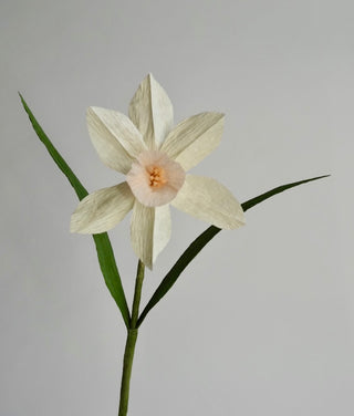 Daffodil Single Stem | Handcrafted Paper Flower - unwilted