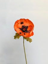 Oriental Poppy Single Stem, Limited Edition - unwilted