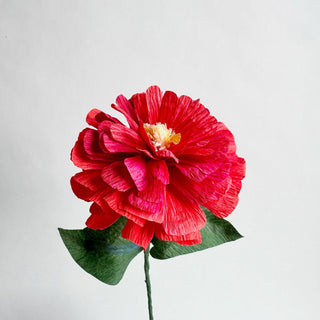 Red flower with green leaves on a light gray background