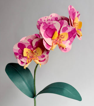 Phalaenopsis Orchid Single Stem | Handcrafted Paper Flower