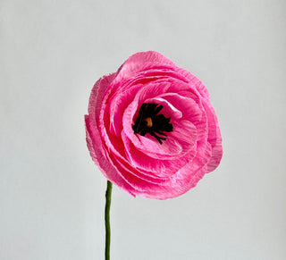 Single pink flower on a light gray background