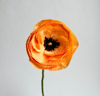 Single orange flower with a gray background
