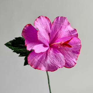 purple crepe paper hibiscus flower with red edges on a gray background