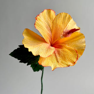 Yellow crepe paper hibiscus flower with red edges on a gray background