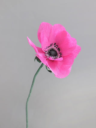 Anemone Single Bloom - unwilted