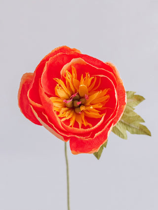 Bowl Peony Single Bloom - unwilted