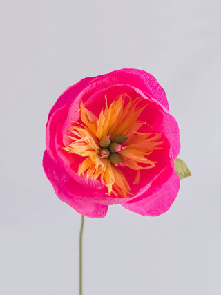 Bowl Peony Single Bloom - unwilted