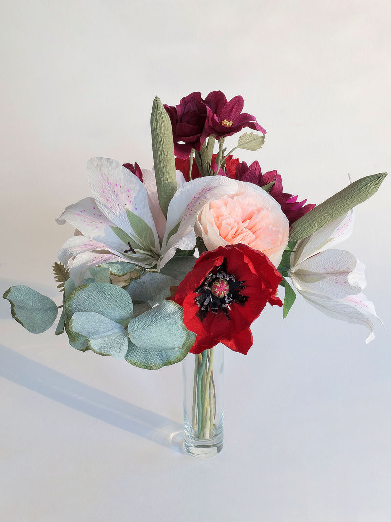 Stargazer's Delight
