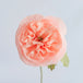 Petal Pink & Petal Pink
