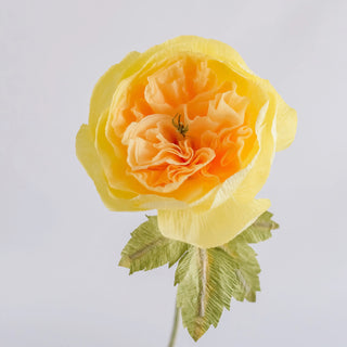 Garden Rose - unwilted