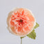 Ivory & Petal Pink