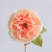 Ivory & Petal Pink