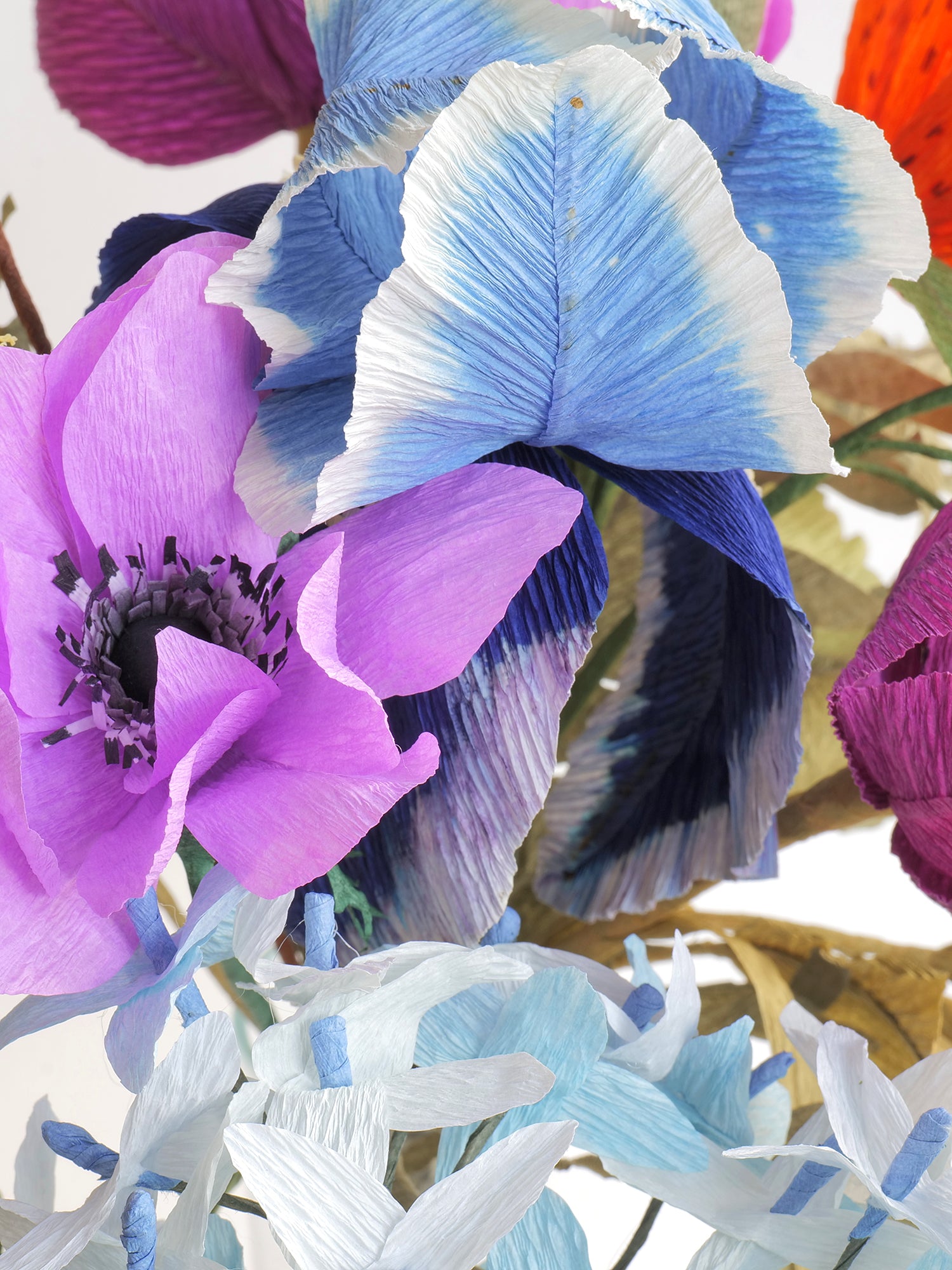 Waffle Flower: Wild Flowers