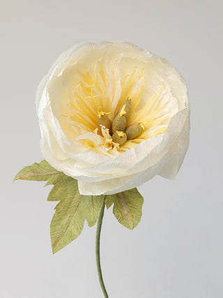 Bowl Peony Single Bloom - unwilted