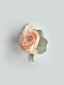 Peach Ranunculus