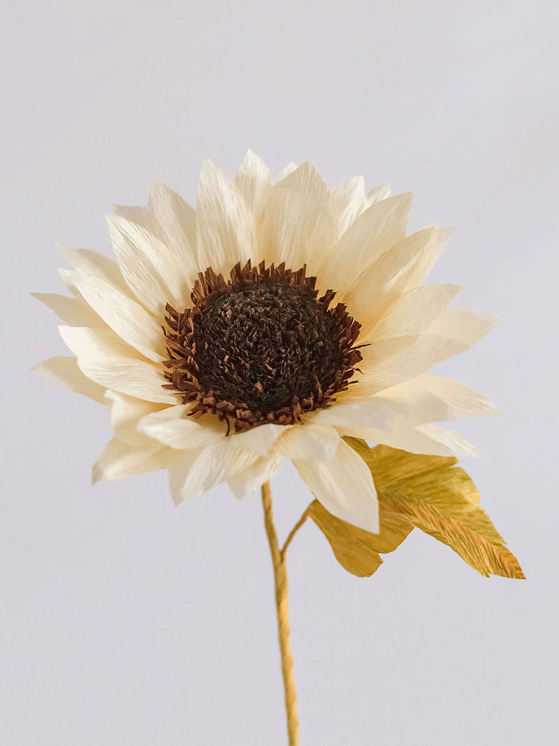 Sunflower Single Bloom