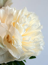 Peony for Your Thoughts