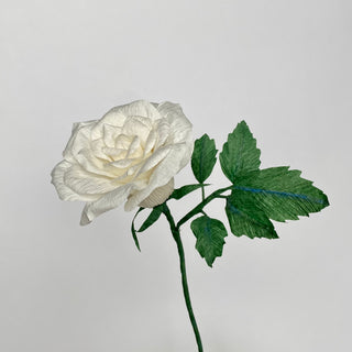 Classic Rose - unwilted